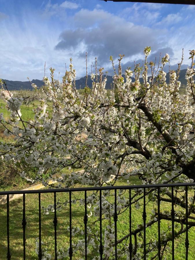 Mirada A Gredos Villa Candeleda Exteriör bild